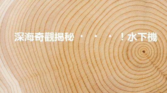 深海奇觀揭秘！水下機(jī)器人探索未知世界，你敢跟隨嗎？